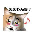 三毛猫さん 其の壱（個別スタンプ：30）