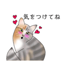 三毛猫さん 其の壱（個別スタンプ：38）