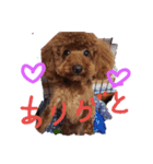 ボクの言葉2（個別スタンプ：3）