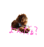 ボクの言葉2（個別スタンプ：6）