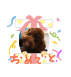 ボクの言葉2（個別スタンプ：13）