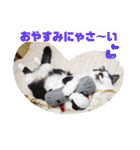 猫うららとぼやっき〜（個別スタンプ：2）