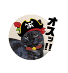 猫うららとぼやっき〜（個別スタンプ：26）
