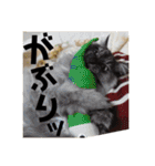 猫うららとぼやっき〜（個別スタンプ：29）