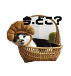 猫うららとぼやっき〜（個別スタンプ：30）