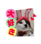 猫うららとぼやっき〜（個別スタンプ：35）