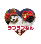 猫うららとぼやっき〜（個別スタンプ：40）