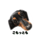 愛犬の挨拶  ⑧（個別スタンプ：8）