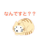 みやおのスタンプ3（個別スタンプ：8）