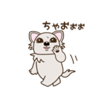 乙女犬ラリ＆マロ［ラブ＆仲良し編］（個別スタンプ：9）