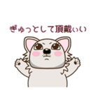 乙女犬ラリ＆マロ［ラブ＆仲良し編］（個別スタンプ：11）