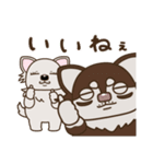 乙女犬ラリ＆マロ［ラブ＆仲良し編］（個別スタンプ：13）