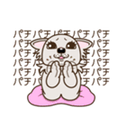 乙女犬ラリ＆マロ［ラブ＆仲良し編］（個別スタンプ：17）