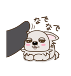 乙女犬ラリ＆マロ［ラブ＆仲良し編］（個別スタンプ：23）