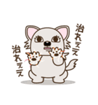 乙女犬ラリ＆マロ［ラブ＆仲良し編］（個別スタンプ：31）