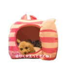 シェリー♡1029（個別スタンプ：2）