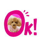 シェリー♡1029（個別スタンプ：6）
