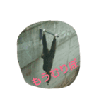 もうだめだぽ(動物)（個別スタンプ：4）