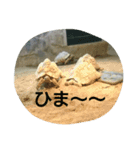 もうだめだぽ(動物)（個別スタンプ：7）