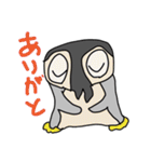 はーていペンギン（個別スタンプ：33）