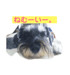 あんずさん、おまめさん。（個別スタンプ：7）