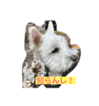 あんずさん、おまめさん。（個別スタンプ：8）