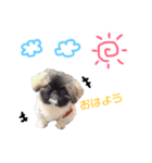我が家のPeki's ここ＆ニコ（個別スタンプ：1）