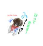 我が家のPeki's ここ＆ニコ（個別スタンプ：5）