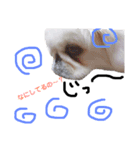我が家のPeki's ここ＆ニコ（個別スタンプ：6）