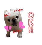 我が家のPeki's ここ＆ニコ（個別スタンプ：10）