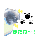 我が家のPeki's ここ＆ニコ（個別スタンプ：11）
