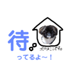 我が家のPeki's ここ＆ニコ（個別スタンプ：17）