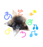 我が家のPeki's ここ＆ニコ（個別スタンプ：23）