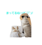 うめひまスタンプ①（個別スタンプ：3）