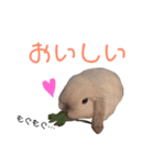 おまめといくらとこまち（個別スタンプ：4）