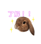 おまめといくらとこまち（個別スタンプ：10）