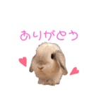 おまめといくらとこまち（個別スタンプ：13）