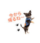 おまめといくらとこまち（個別スタンプ：18）