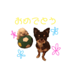おまめといくらとこまち（個別スタンプ：19）