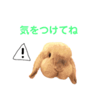 おまめといくらとこまち（個別スタンプ：20）