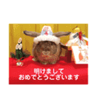おまめといくらとこまち（個別スタンプ：21）