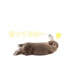 おまめといくらとこまち（個別スタンプ：23）