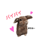 おまめといくらとこまち（個別スタンプ：24）