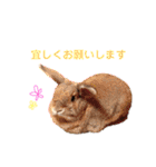 おまめといくらとこまち（個別スタンプ：26）
