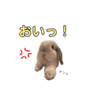 おまめといくらとこまち（個別スタンプ：27）