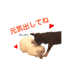おまめといくらとこまち（個別スタンプ：28）