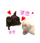 おまめといくらとこまち（個別スタンプ：34）