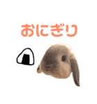 おまめといくらとこまち（個別スタンプ：36）