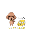 トイプードルのホタルくん（個別スタンプ：9）