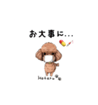 トイプードルのホタルくん（個別スタンプ：16）